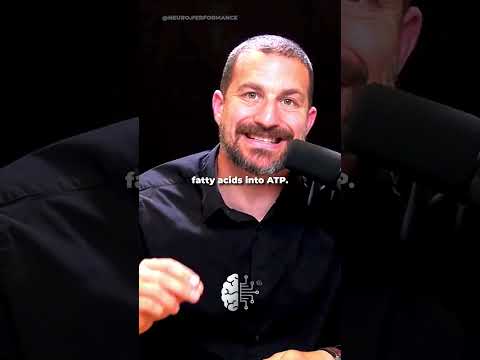 L-Carnitine Can Increase Weight Loss🧪 #fatloss #weightloss #andrewhuberman