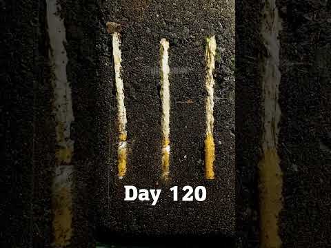 I LEFT CIGARETTES IN SOIL FOR 1 YEAR #shorts