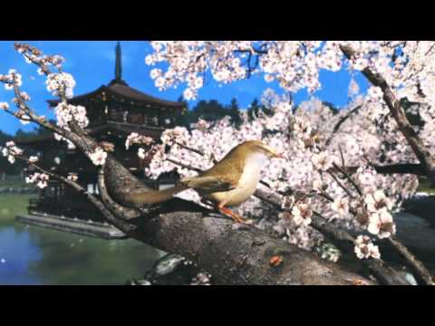 Wii U Tech Demo — E3 2011