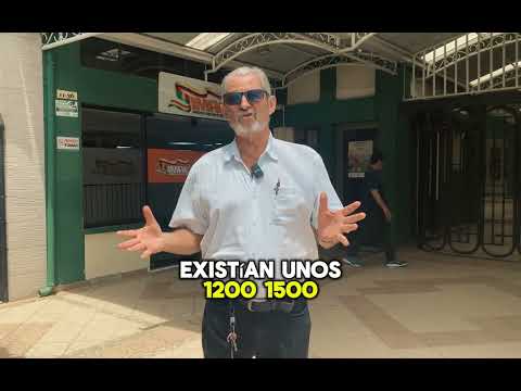 🎥 Memorias de Yopal   ✏️Cap.17- 1994: un año histórico para la educación en Casanare