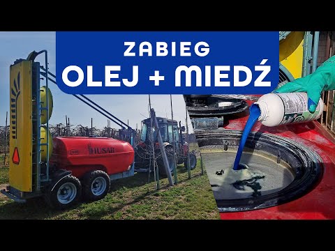 Zabieg ochronny olejem i miedzią