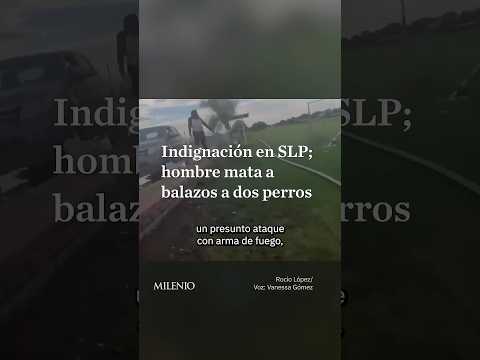 Hombre asesina a balazos a dos perritos en San Luis Potosí