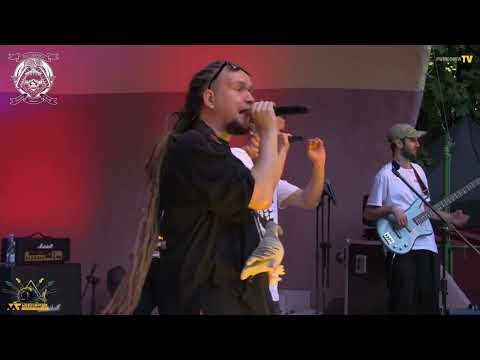 Loża Masoża K.L.I.N - XII Muszlownik Murcki Festiwal 2023