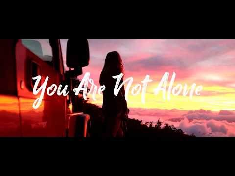 WildVibes & Patrick Key - You Are Not Alone (ft. David Shane)(Sub Español)