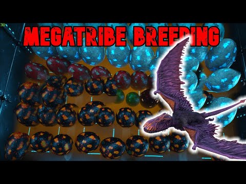 MegaTribe Life #21 - Breeding TIPS  | GONG GONG | Ark Official PvP  🍭