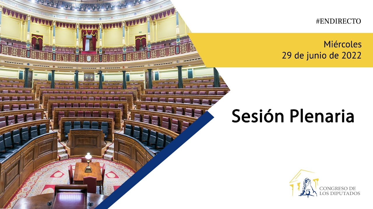 Sesión Plenaria (29/06/2022)