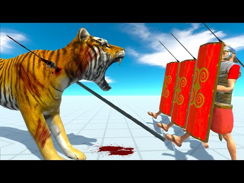 HOW MANY ROMANUS NEED TO TAKE DOWN A GIANT TIGER