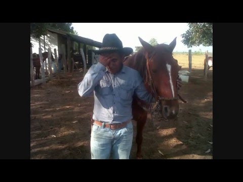 El Mal que Nunca se Acaba - Jose Rojas'El Chimu del Llano'