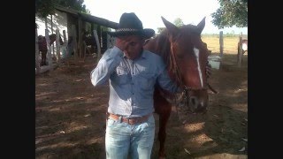 El Mal que Nunca se Acaba - Jose Rojas'El Chimu del Llano'