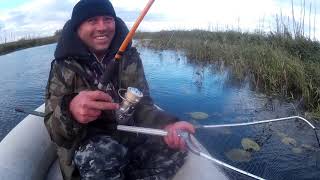 База рыболовная в усть бельске