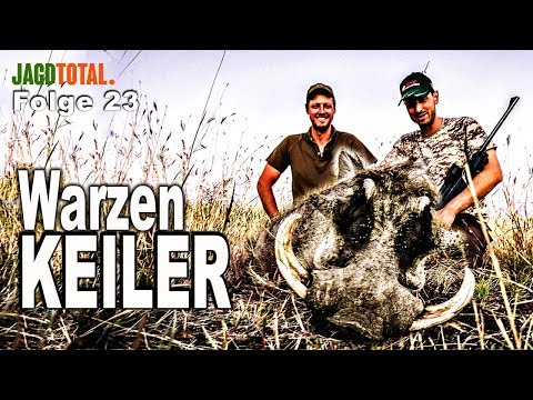 Starke Warzenkeiler in Namibia | JAGD TOTAL Folge 23