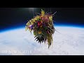 The Japanese Artist Who Sends His Work to Space | The New Yorker Documentary
