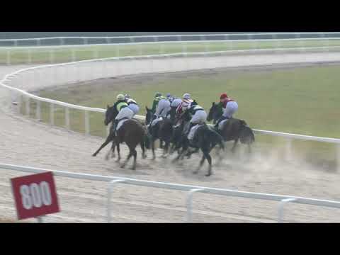 2017.11.05. 1. futam - ZWEGAT HENDIKEP (V.o.) (szintetikus pálya)