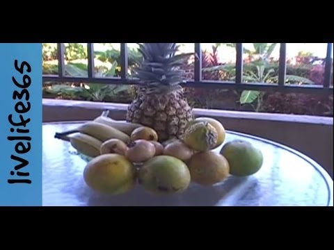 download lagu mp3 mp4 How To Make Passion Orange Guava Juice, download mp3 How To Make Passion Orange Guava Juice free downloadn, video klip How To Make Passion Orange Guava Juice
