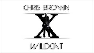 Chris Brown   Wildcat New Song 2014