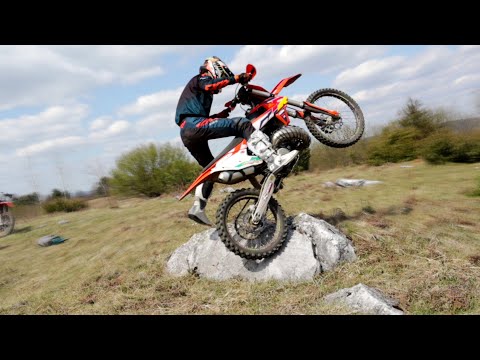 KTM SX 150 - FOREST