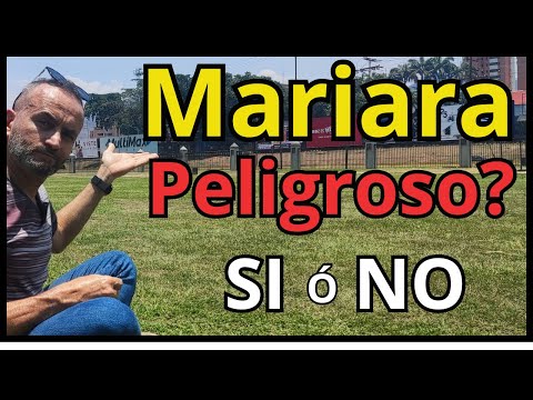 VISITEMOS a Mariara Un Municipio catalogado Peligroso en Carabobo Venezuela.