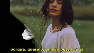 Dixie Chicks - Without You (Tradução)