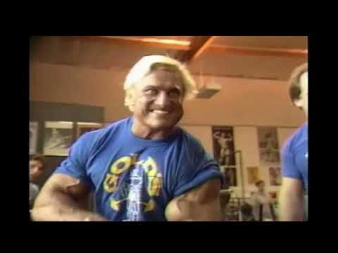 tom platz x cry wolf [ SUNDAZER ]