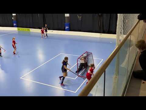 T14 ErVi Sininen - Tiikerit