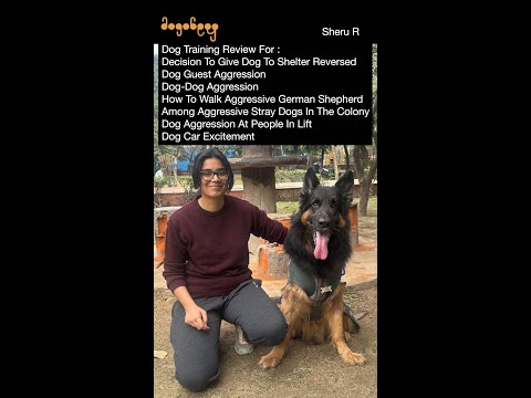 Sheru R. Dog Training Review By Shubhra For Sheru.