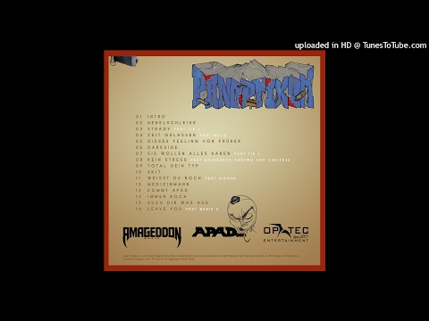 02 ApadOne - Nebelschleier (Panoptikum)