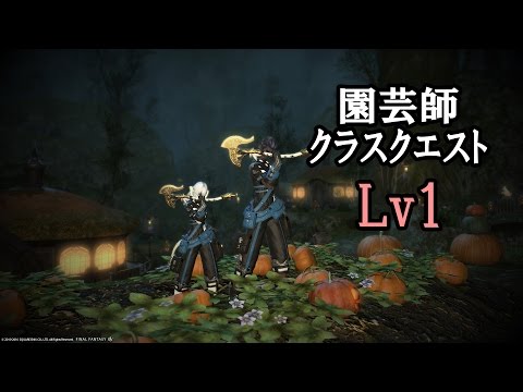 園芸 光るタイム