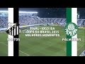 Melhores Momentos Santos 1 X 0 Palmeiras Copa Do Brasil 25 11 2015