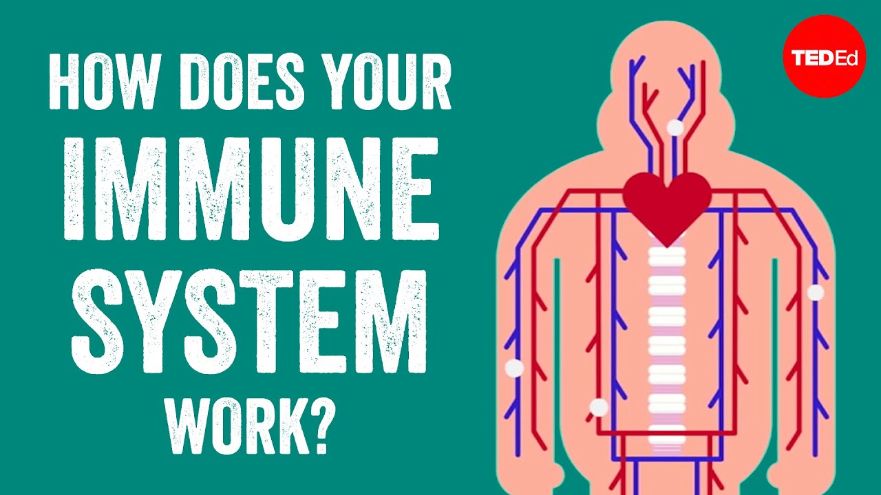 Link to video on genes and immunity thumbnail