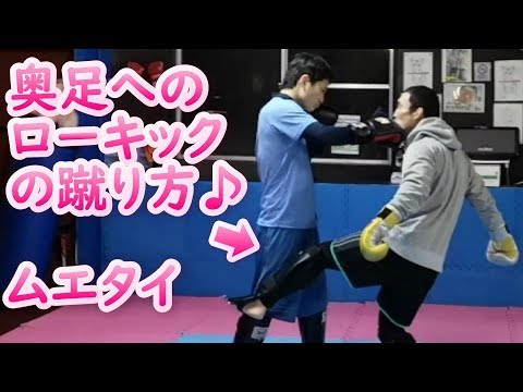 フェイントを使った奥足へのローキック　キックボクシングテクニック　ムエタイ