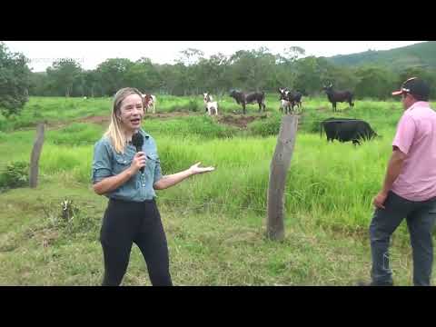 EM FORMOSA DA SERRA NEGRA, UMA HISTÓRIA DE SUPERAÇÃO E EMPREENDEDORISMO INSPIRA A COMUNIDADE RURAL