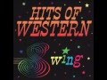 #1085 Pickin' On Band - My Window Faces The South