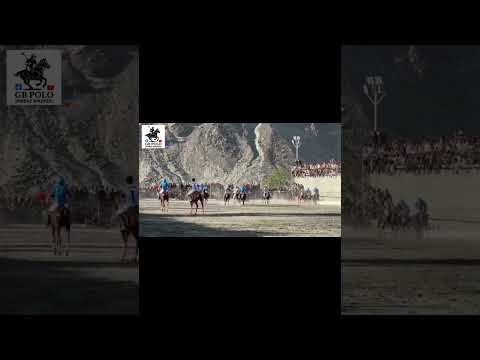 Polo final Nli vs GBS #foryou #horse #unfreezemyacount 