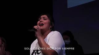 Only King Forever / Elevation Worship - Español Solo tu eres rey por siempre | Mosaico Music