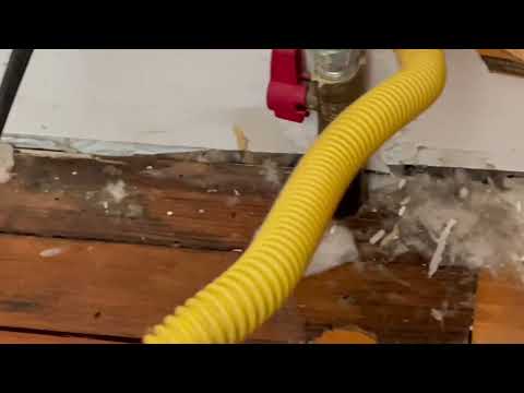 Mice Hiding Behind the Stove in Neptune, NJ