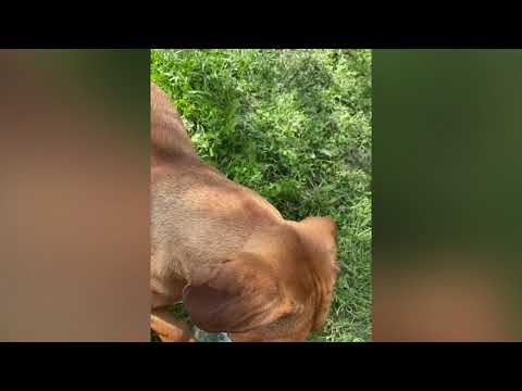 Tura cu bicicleta -Gherla-Sic-Taga