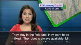 Are Robot Milkers the Future of Dairy Farming