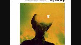 Terry Manning - I Wanna Be Your Man