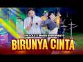 BIRUNYA CINTA Irwan Krisdiyanto X Iva Lola SIMPATIK MUSIC Official Music Video