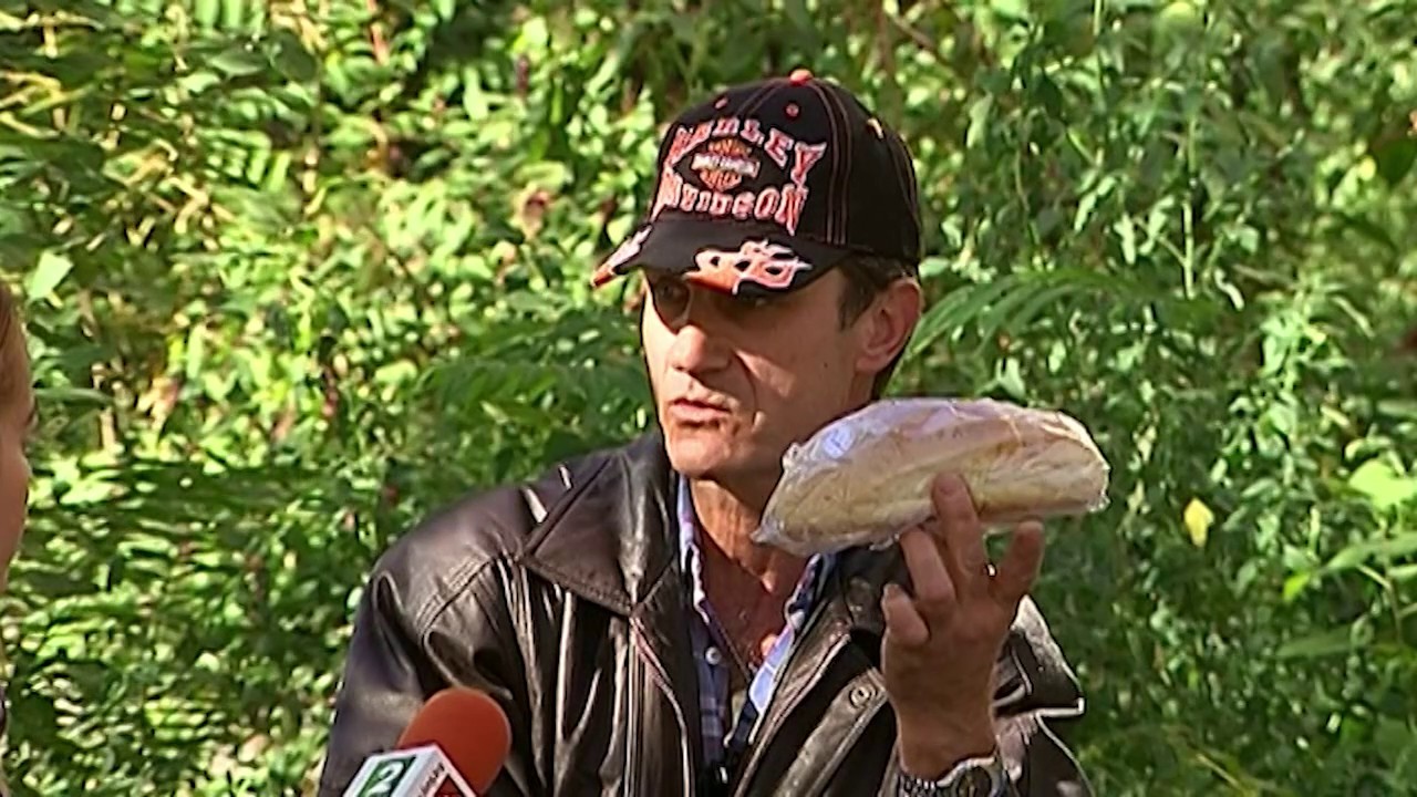 Мъж намери живи мухи в опаковани кифли