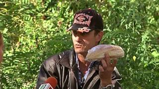 Мъж намери живи мухи в опаковани кифли