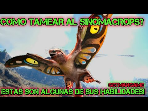 COMO TAMEAR AL SINOMACROPS/ Y ALGUNAS DE SUS HABILIDADES/ ARK;LOST ISLAND/Ark:survival evolved
