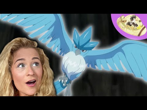 Why Articuno Has Cool Wings! Pokemon Biology Explained