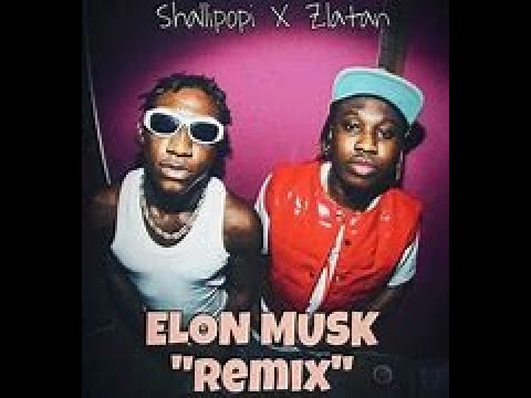 Shallipopi, Zlatan, Fireboy DML   Elon Musk Remix Official Video
