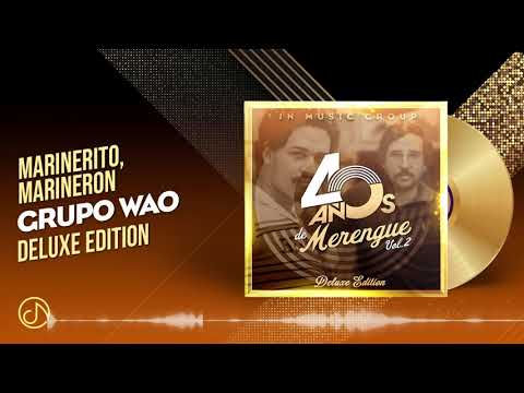 MARINERITO, Marineron 🎺 - Grupo Wao [Audio Cover] 🥳 #40
