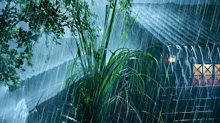 Perfect Rain White Noise to Fall Asleep Fast | Real Heavy Rain on Tin Roof & Thunder Sounds at Night
