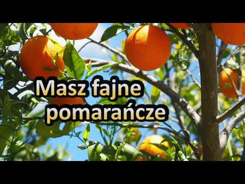 DJ Farad - Masz fajne pomarańcze