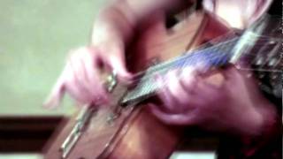 Desert Rose (twilight)