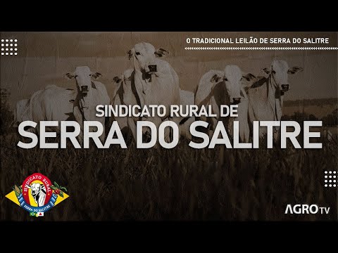 101º LEILÃO ESPECIAL AMIGOS DE SERRA DO SALITRE -MG