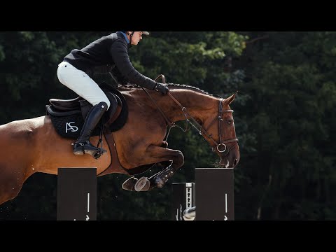 My Hawks Gemera - Jumping